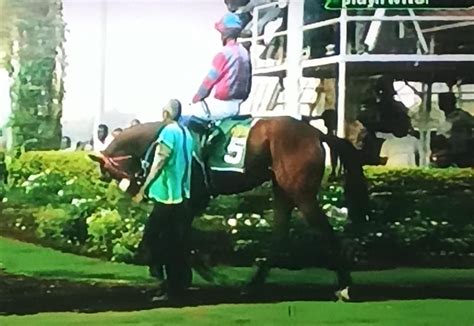 indiarace.com telegraph india racing.com|The Best Indian Horse Racing information site for live .